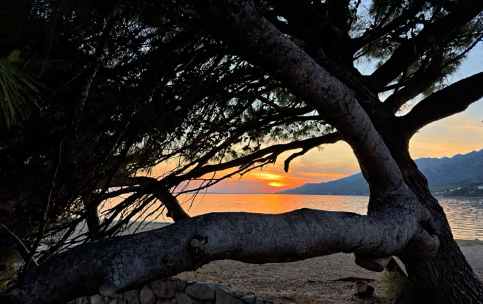Kostenloses Stock Foto zu anhänger, ausdruck, branding