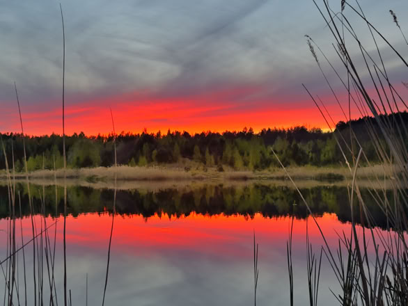 Sonnenuntergang in Bresinchen (Guben)